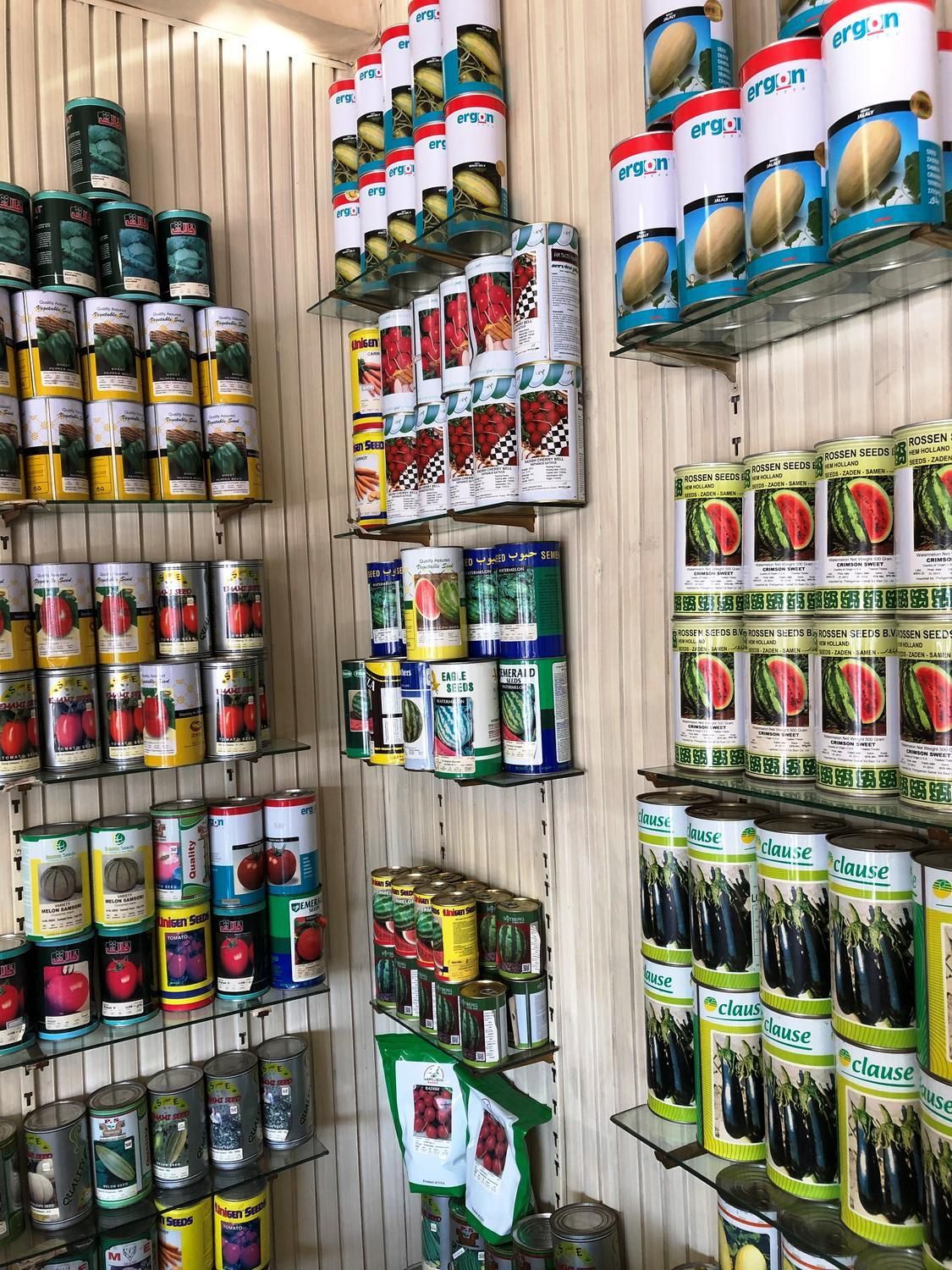 بذر خیار گوجه هندوانه ملون خربزه، صیفی و سبزیجات|خدمات باغبانی و درختکاری|تهران, شوش|دیوار