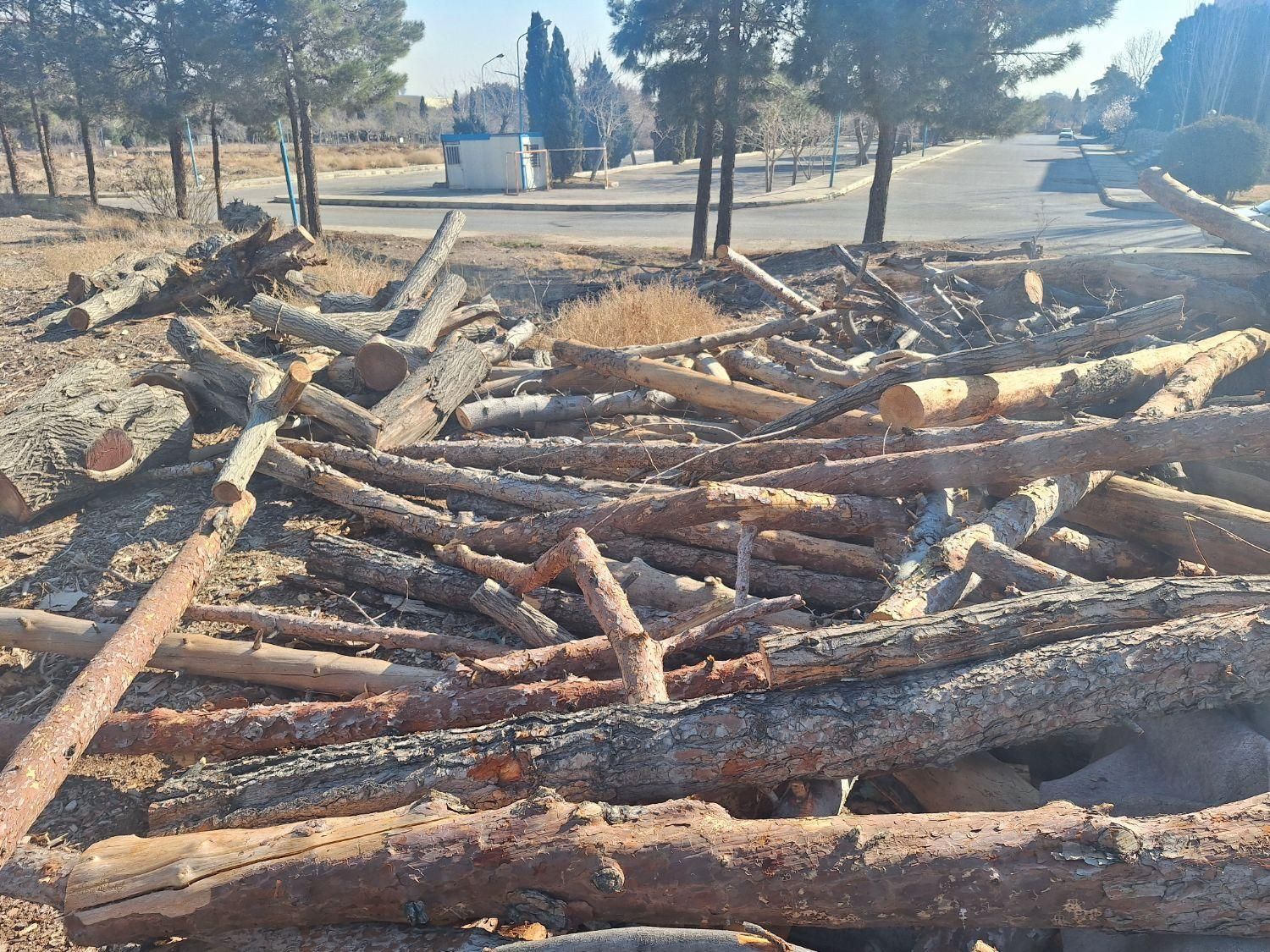 بریدن خرید و فروش چوب|خدمات باغبانی و درختکاری|فلاورجان, |دیوار