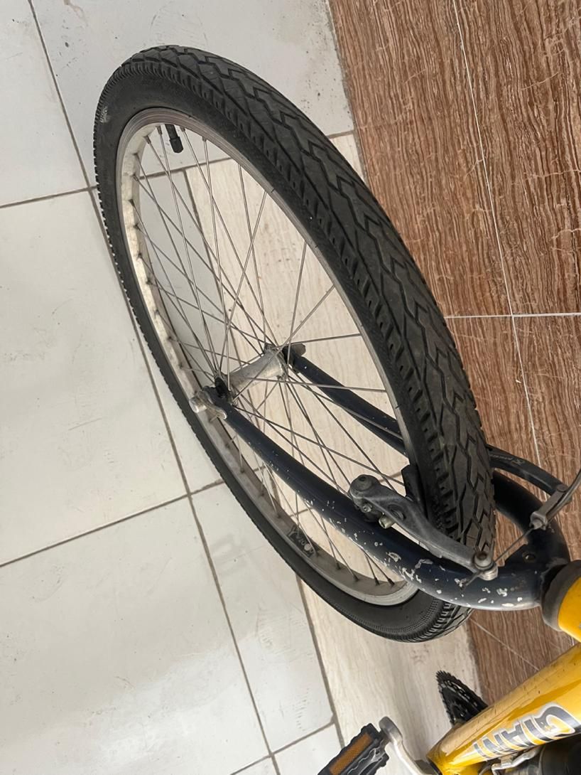 دوچرخه جاینت آمریکایی|دوچرخه، اسکیت، اسکوتر|تبریز, |دیوار