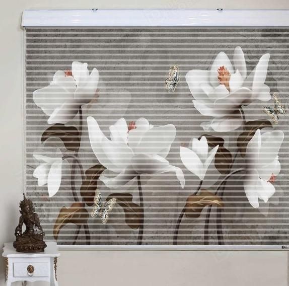 پرده زبرا سنا مسکن|پرده، رانر، رومیزی|کرمانشاه, |دیوار