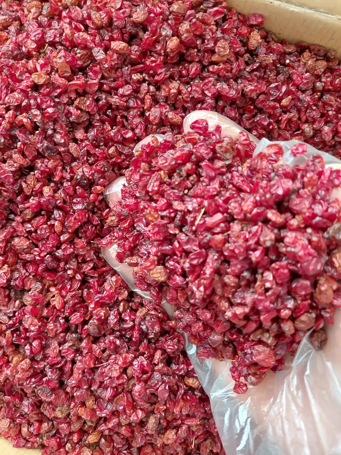 زرشک اناری عمده|خوردنی و آشامیدنی|اصفهان, نقش جهان|دیوار