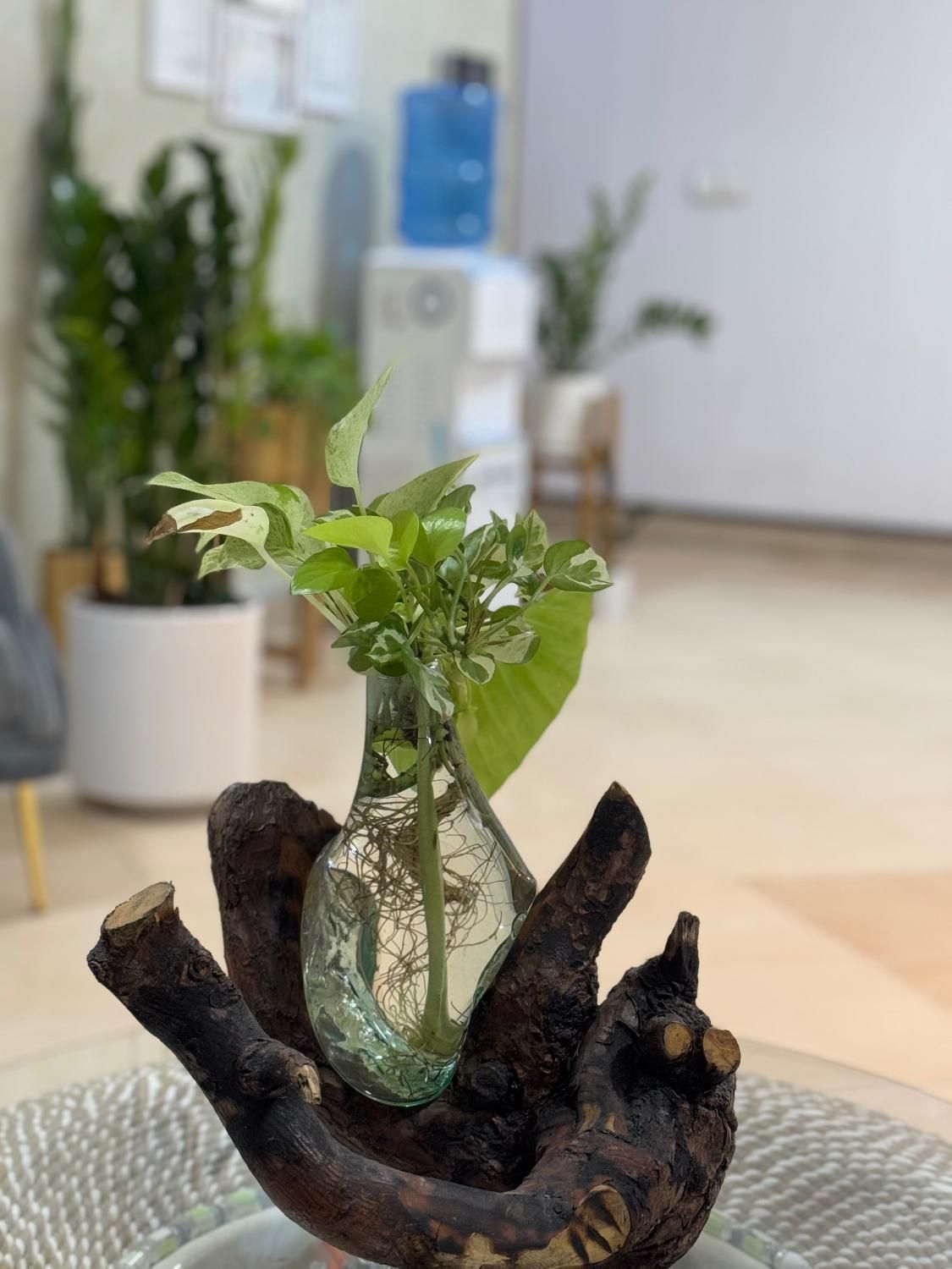 اجاره لاین،واتاق های زیبایی درمطب|اجارهٔ دفتر کار، اتاق اداری، مطب|شاهین‌شهر, فردوسی|دیوار