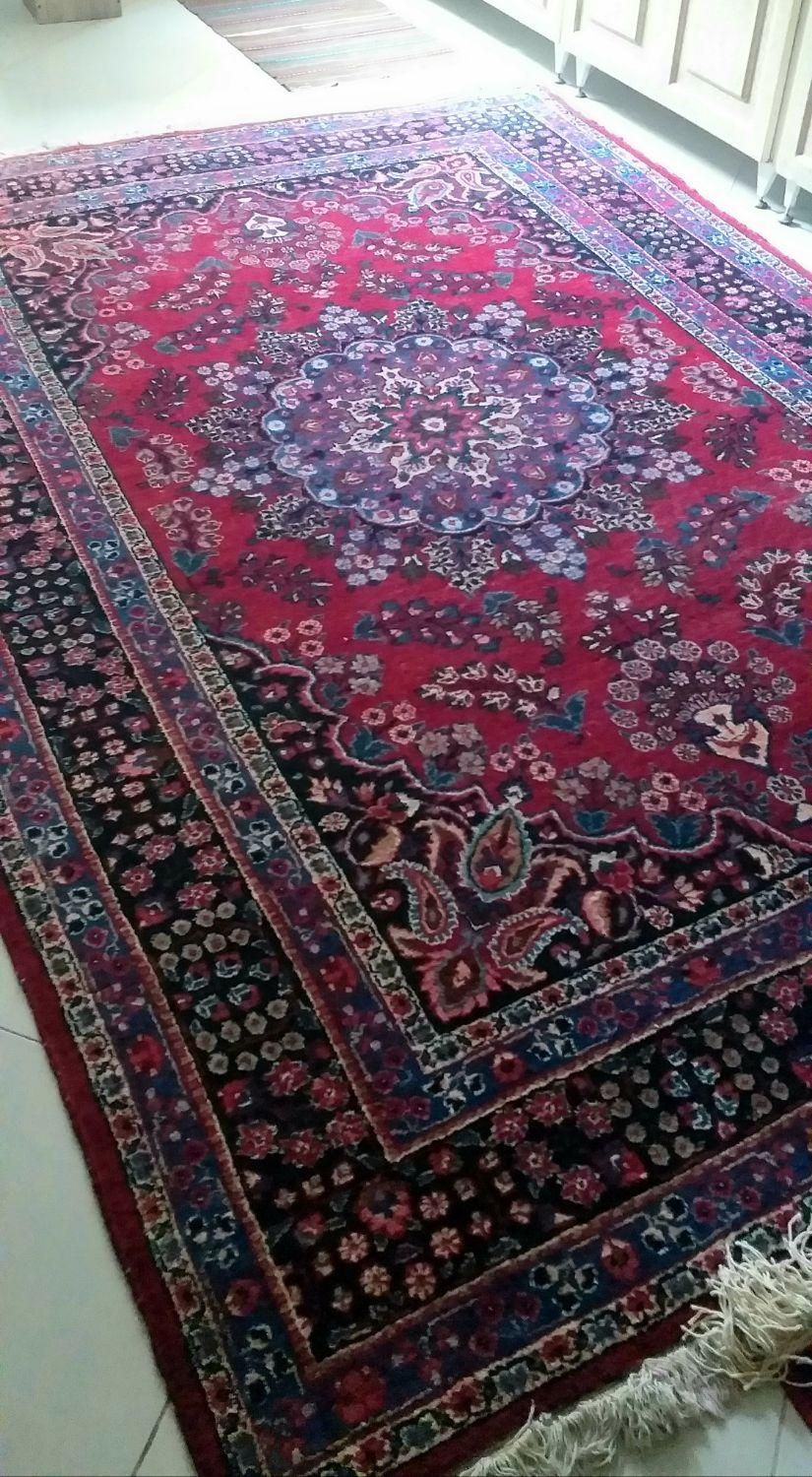 فرش دست بافت ۶ متری|فرش|بجنورد, |دیوار