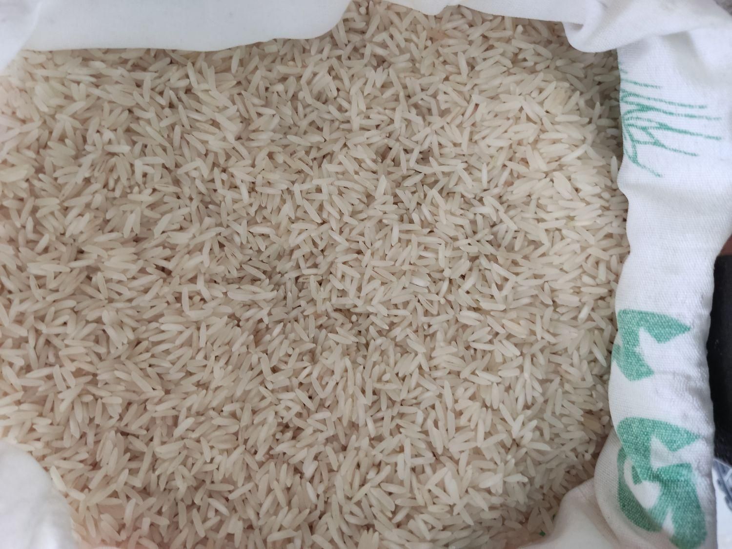 برنج هاشمی|خوردنی و آشامیدنی|قم, بنیاد|دیوار