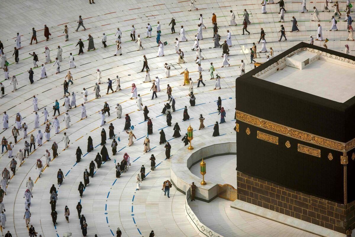 فروش دو عدد فیش عمره|تور و چارتر|اصفهان, خواجو|دیوار