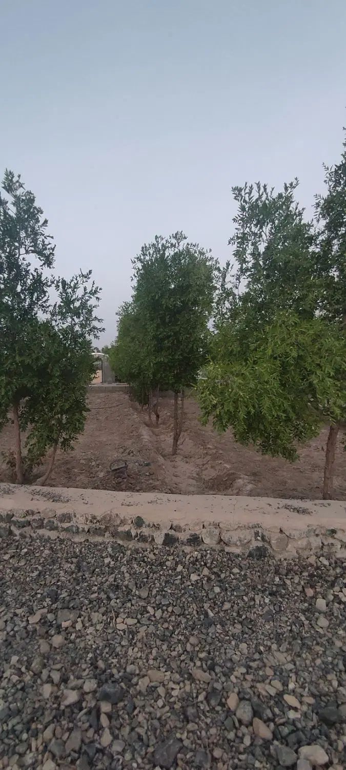 تصویر 3