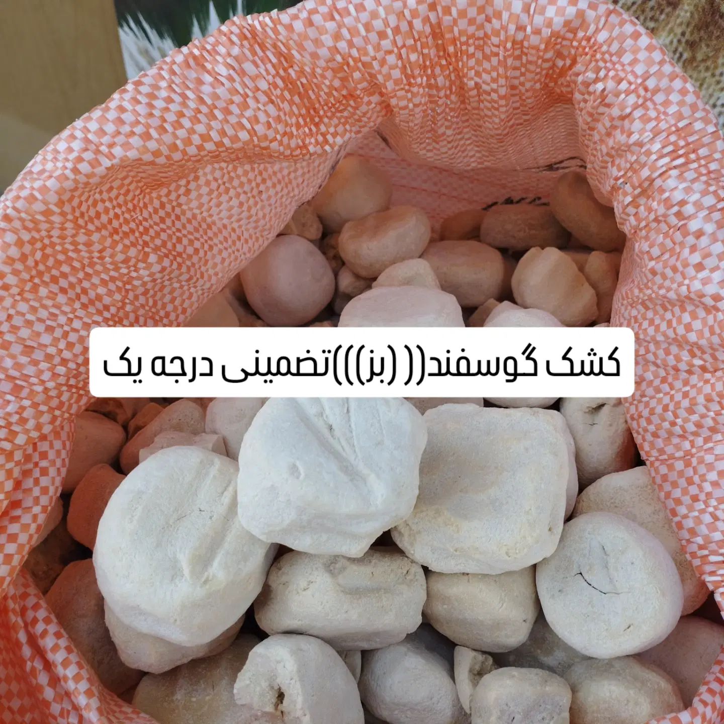 خرید فروش انواع حبوبات انواع بذر گندم درجه یک|عمده‌فروشی|الیگودرز, |دیوار