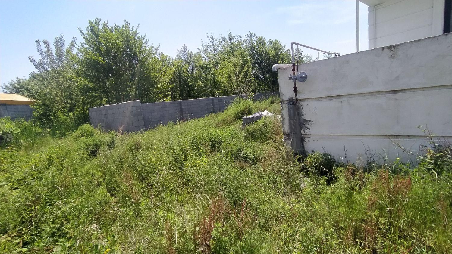 زمین مسکونی ۲۲۴ متری/ ۳دقیقه تا شهر/املاک آسیانوین|فروش زمین و ملک کلنگی|رودسر, |دیوار