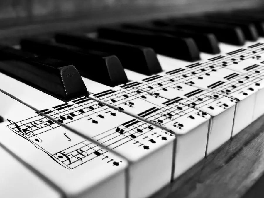 آموزش تدریس پیانو بلز فلوت موسیقی کودک|خدمات آموزشی|کرمان, |دیوار