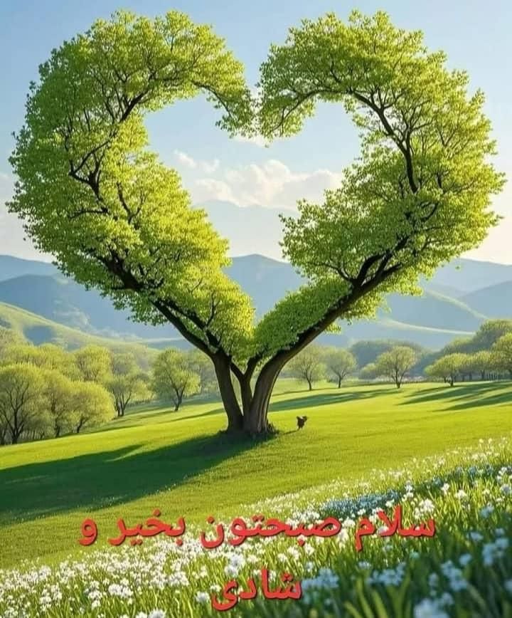 فروش زمین ۱۵۲ متری سه دونگی در چشمه توتی|فروش زمین و ملک کلنگی|اصفهان, ابر|دیوار