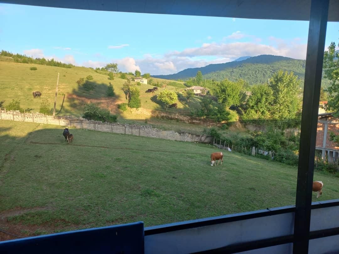 ویلا ۲خوابه دربست|اجارهٔ کوتاه‌مدت ویلا و باغ|چالوس, |دیوار