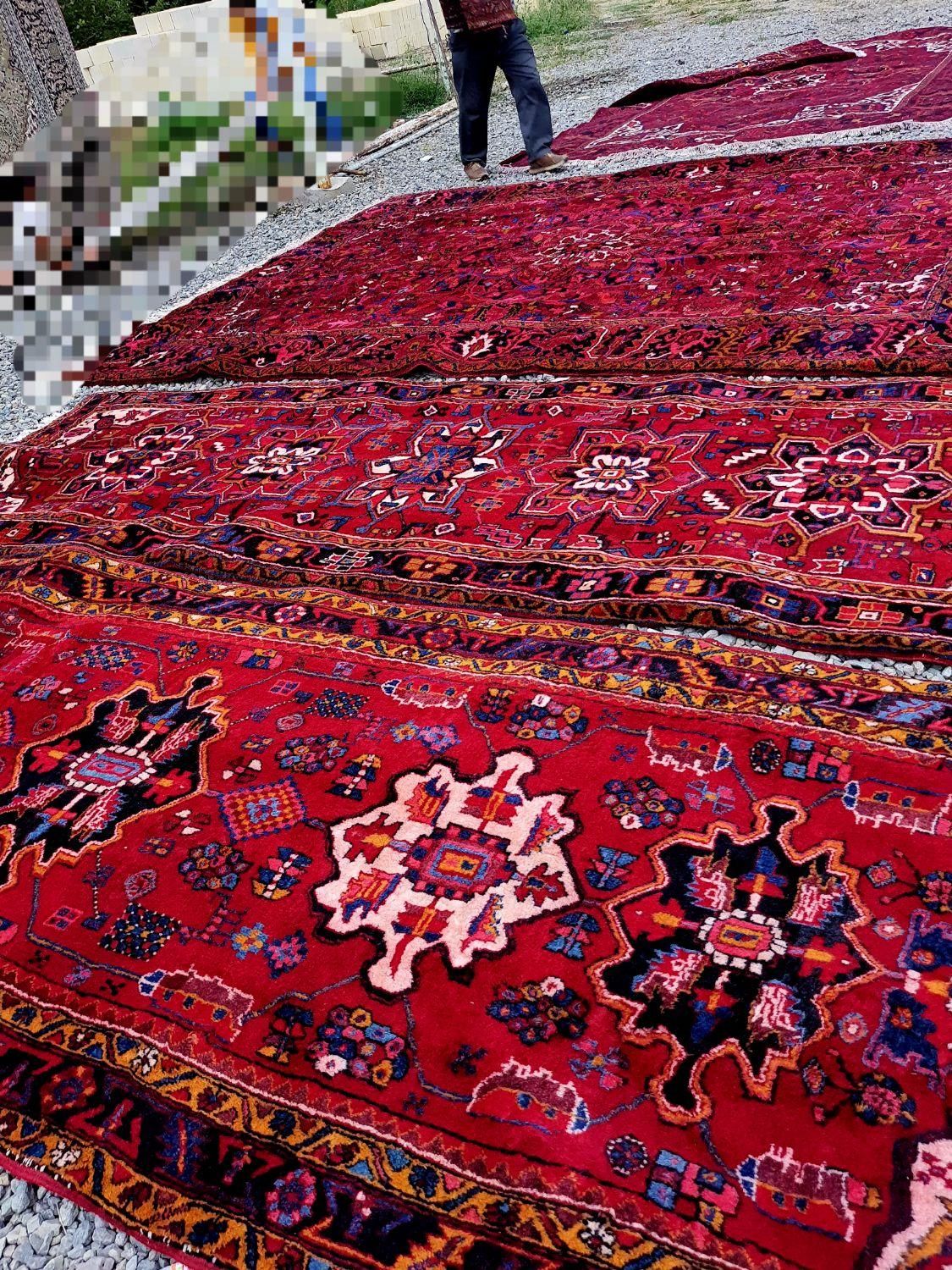 قالیشویی مشتاق|خدمات نظافت|اهر, |دیوار