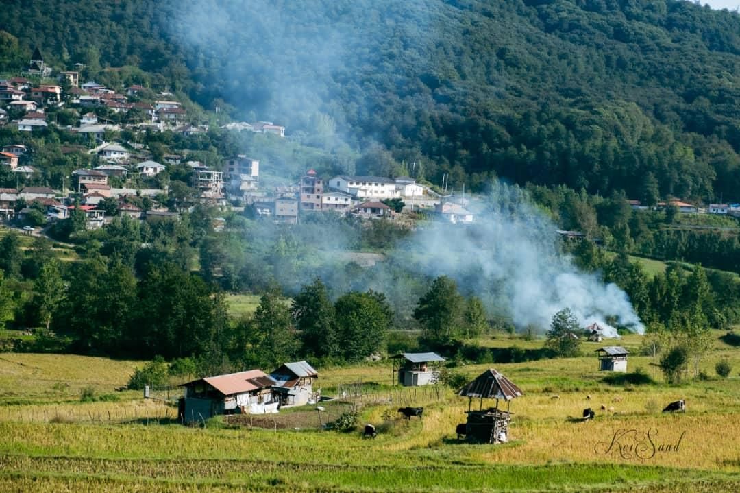 کلبه سوئیسی دوخوابه جکوزی دار درلفور سوادکوه|اجارهٔ کوتاه‌مدت ویلا و باغ|آلاشت, |دیوار