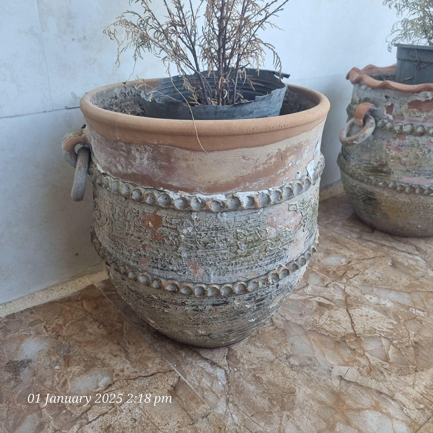 تعدادی گلدان|گل و گیاه طبیعی|اهواز, سیصد دستگاه|دیوار