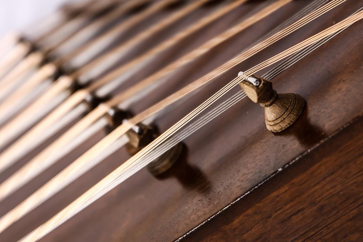 تدریس سنتور مدرس خانم|خدمات آموزشی|فردیس, فردیس|دیوار