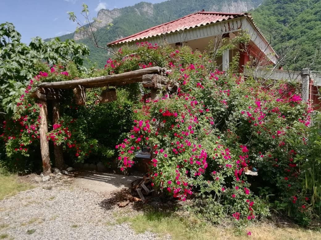 اجاره ویلا ییلاقی جنگلی در ارتفاعات دوهزار|اجارهٔ کوتاهمدت ویلا و باغ|تنکابن, |دیوار