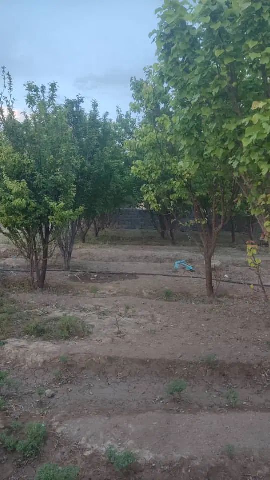 با پایین ترین مبلغ در روستای ورجان صاحب باغ شوید|فروش زمین و ملک کلنگی|قم, پردیسان|دیوار