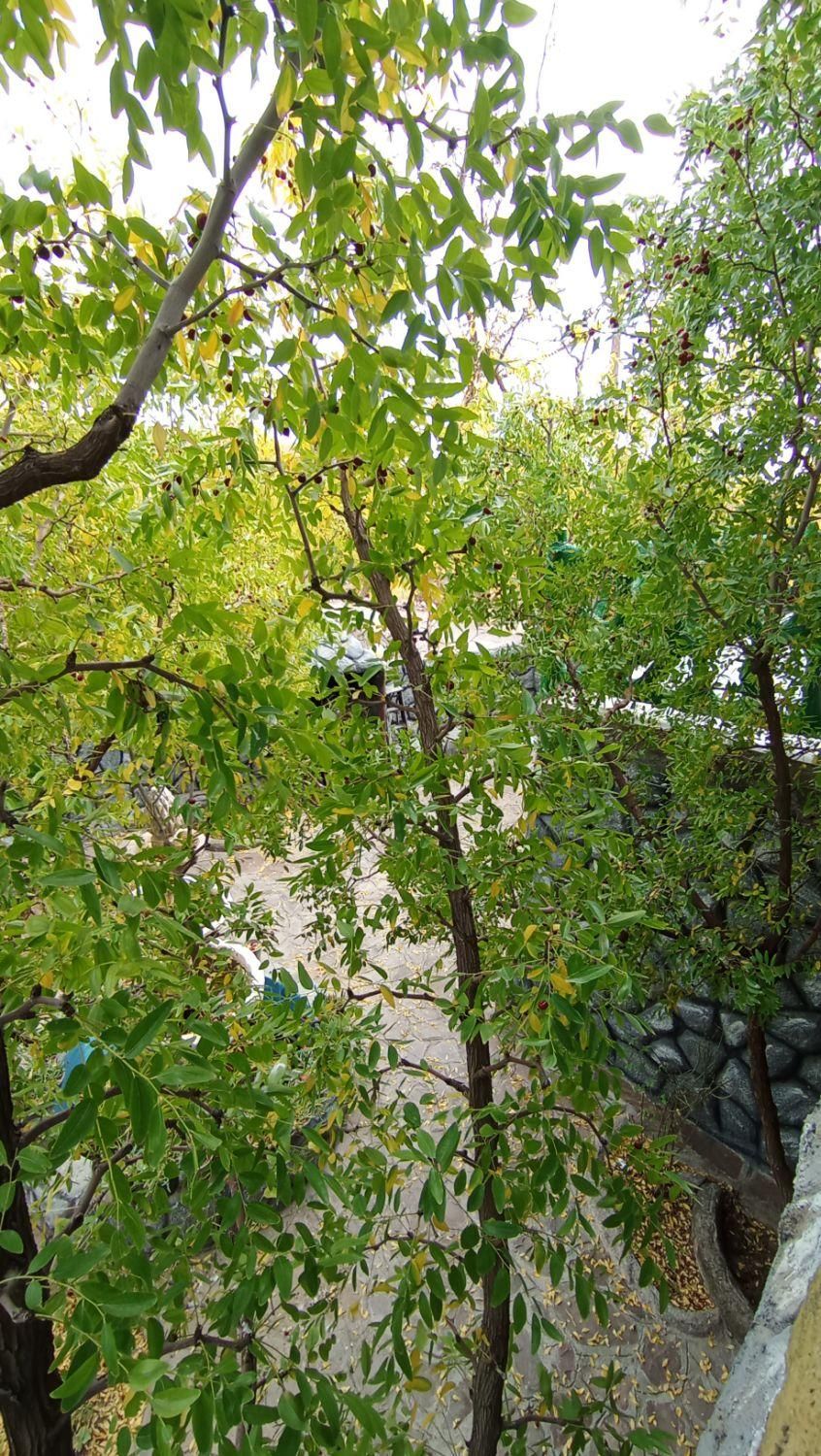 تصویر 11