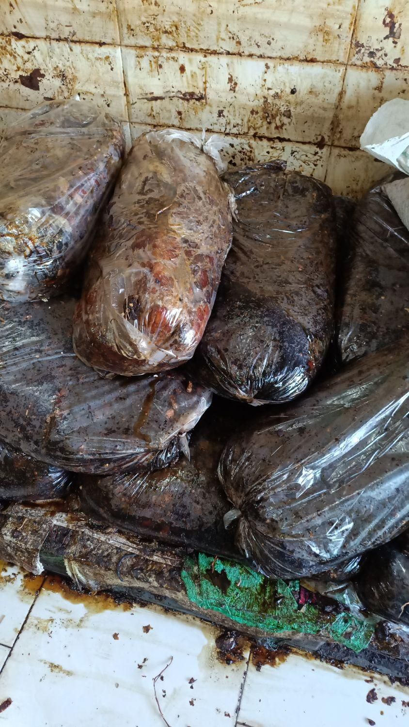 مویز وکشمش خرما خمیر خرما شیره خرما|عمدهفروشی|شیراز, شهرک مدرس|دیوار