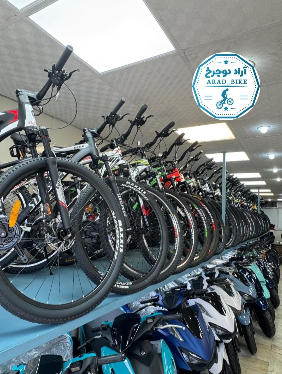 پخش دوچرخه((نمایندگی آراد دوچرخ))|دوچرخه، اسکیت، اسکوتر|ساوه, |دیوار