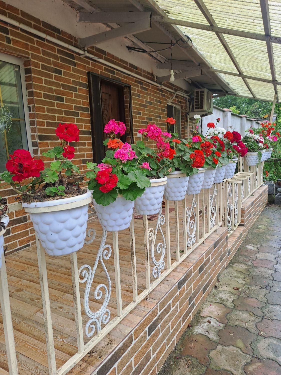 ویلاباغ۸۰متری ۵کیلومتری رشت به فومن امشب ۱تومن|اجارهٔ کوتاه‌مدت ویلا و باغ|رشت, عینک|دیوار