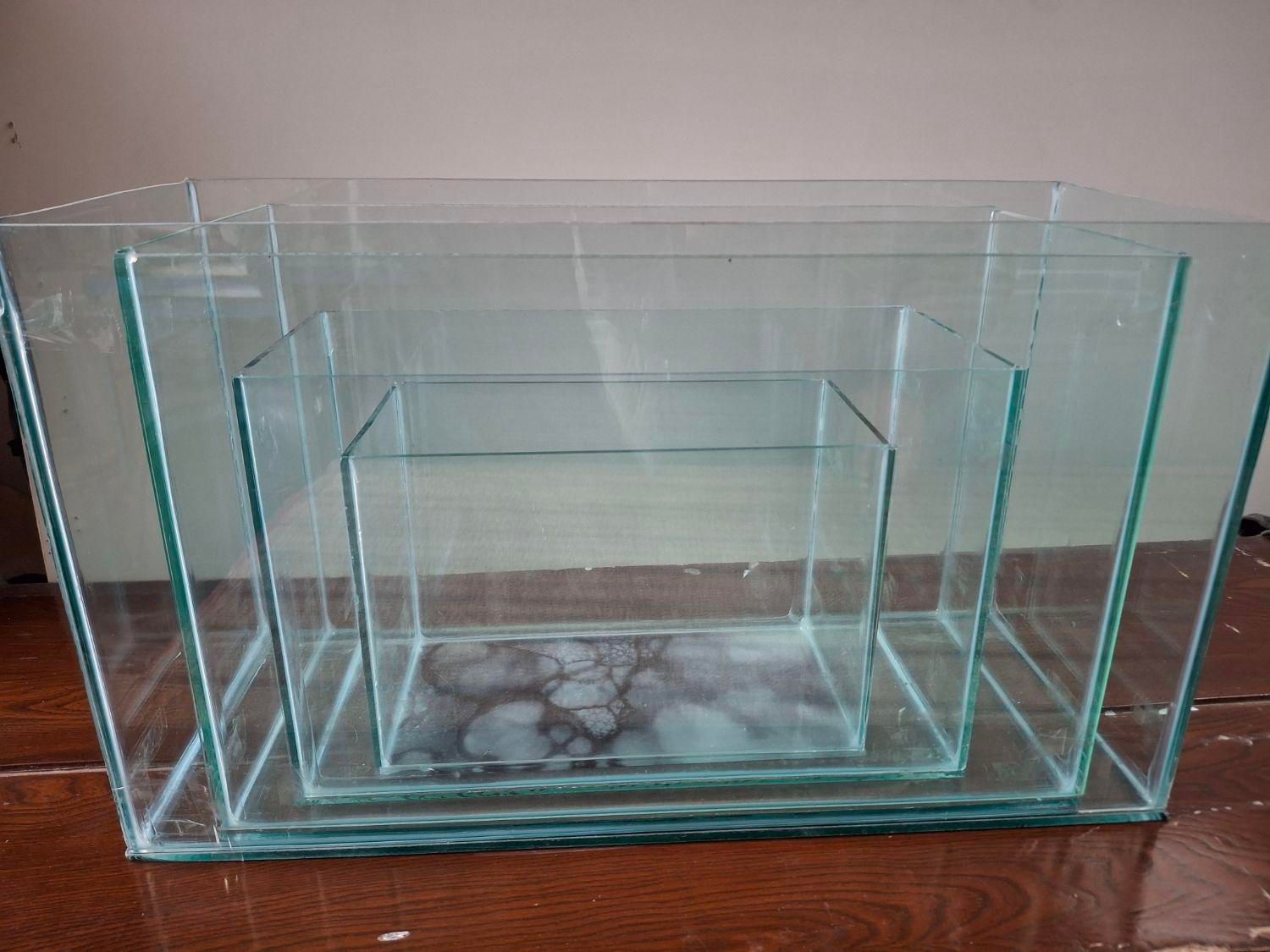 تولیدی آکواریوم زیر قیمت|ماهی|مشهد, شهید آوینی|دیوار