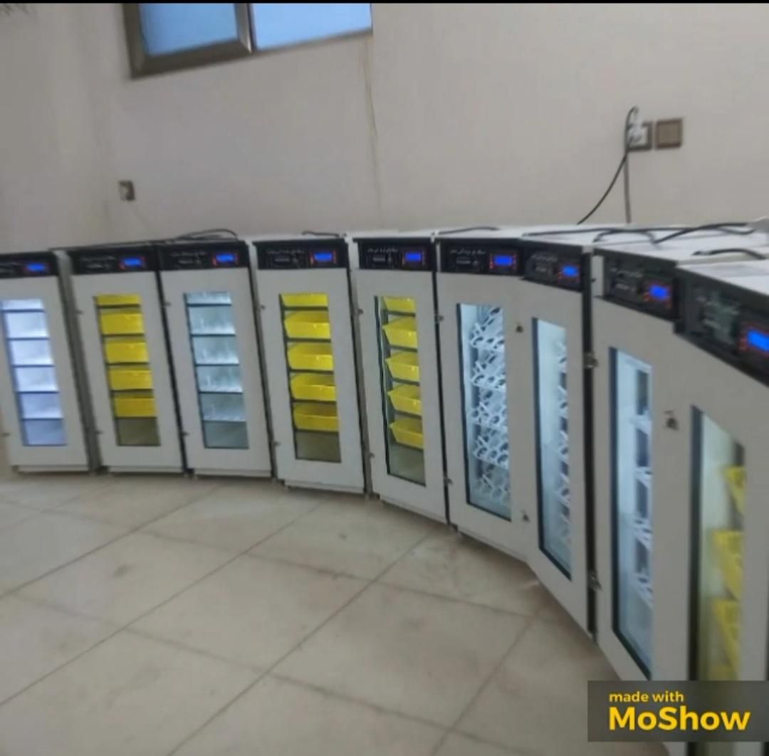 دستگاه جوجه کشی/+بهترین کیفیت+٪|لوازم جانبی حیوانات|بندرعباس, |دیوار