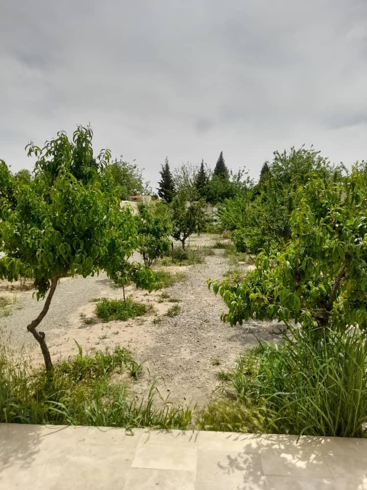 اجاره روزانه باغ ویلا|اجارهٔ کوتاهمدت ویلا و باغ|پاکدشت, پاکدشت (مامازند)|دیوار