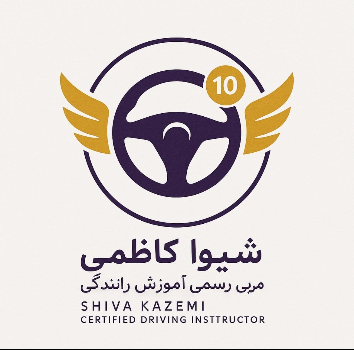 آموزش رانندگی خصوصی با مربی خانم مجرب|خدمات آموزشی|تهران, ایران|دیوار