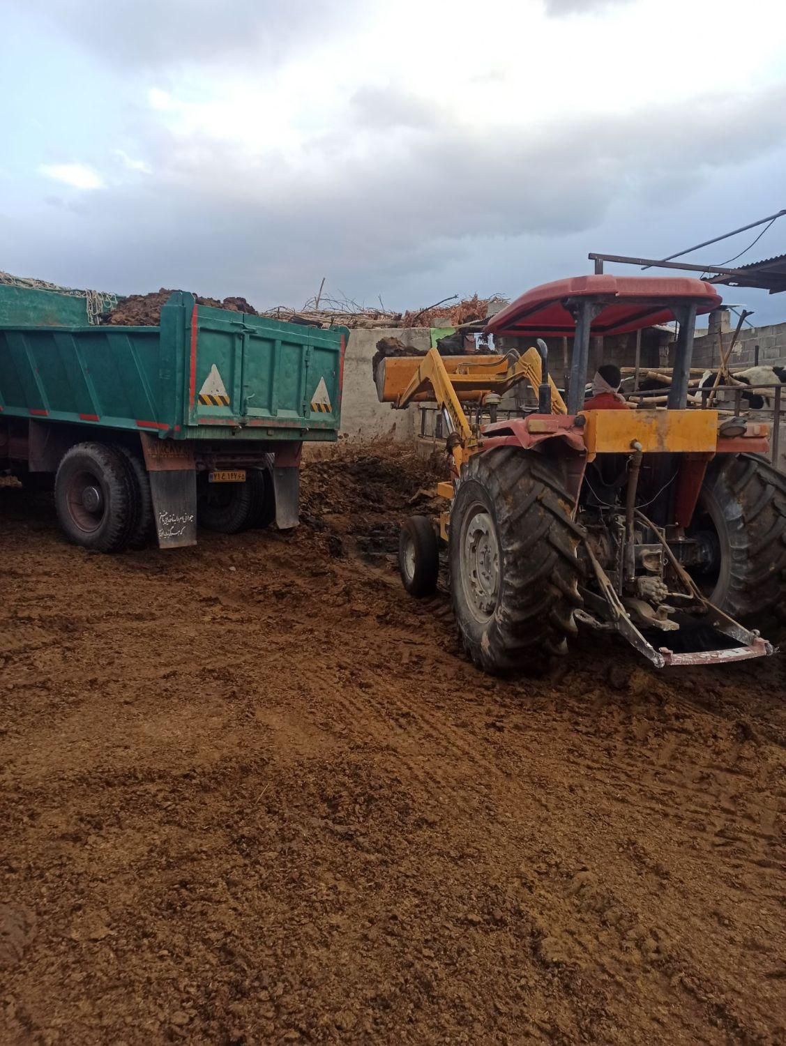 کود گاوی خالص شیره دار|خدمات باغبانی و درختکاری|بم, |دیوار