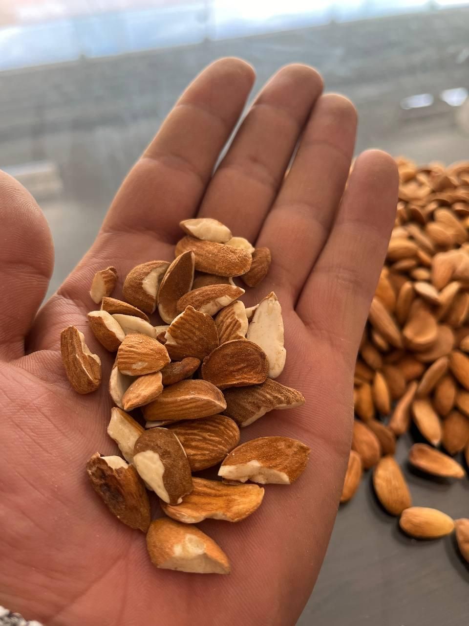 بادام شیرین|خوردنی و آشامیدنی|شیراز, گویم|دیوار