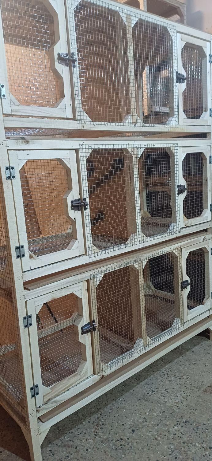 قفس چوبی پرنده جفتگاه کبوتر|لوازم جانبی حیوانات|مشهد, امیر|دیوار