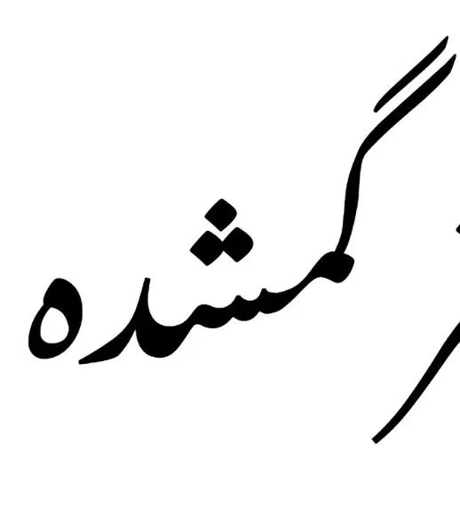 گمشده انگشتر|اشیا|مشهد, صیاد شیرازی|دیوار