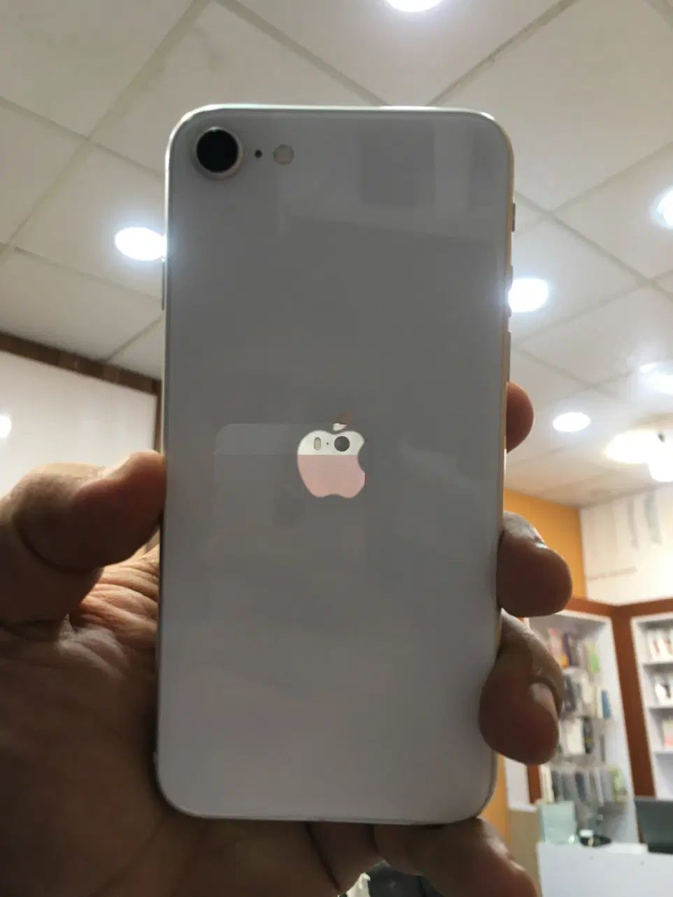 iPhone Se2020 سفید|موبایل|تهران, دانشگاه شریف|دیوار