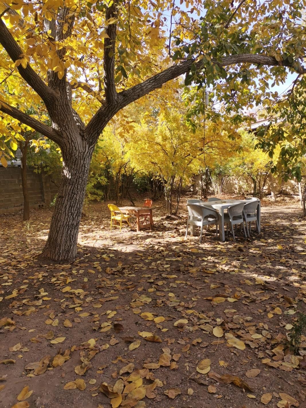 اجاره روزانه خانه باغ قلات بافت قدیم|اجارهٔ کوتاه‌مدت ویلا و باغ|شیراز, قلات|دیوار