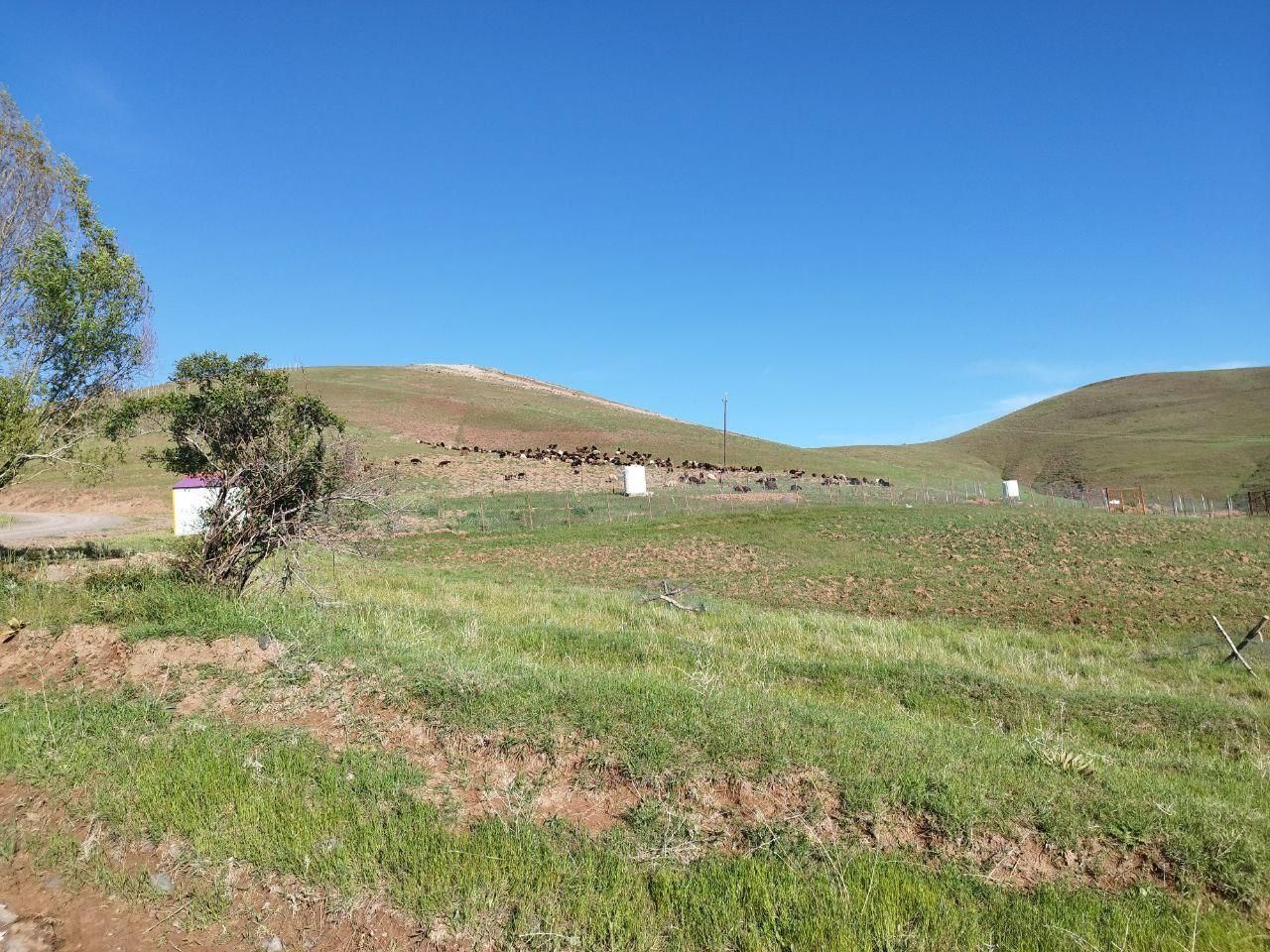 فروش زمین ۵۰۰ متر|فروش زمین و ملک کلنگی|طالقان, |دیوار