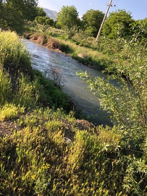 اجاره روزانه/هفتگی/ویلا ۲۰۰ متری|اجارهٔ کوتاه‌مدت ویلا و باغ|سنندج, |دیوار