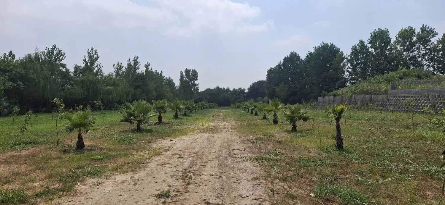 فروش ویژه زمین در شمال با شرایط استثنایی اقساط|فروش زمین و ملک کلنگی|تهران, امیرآباد|دیوار