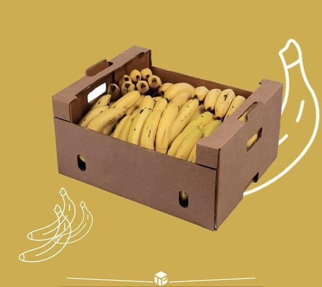 کارتن میوه|عمده‌فروشی|خرم‌آباد, |دیوار