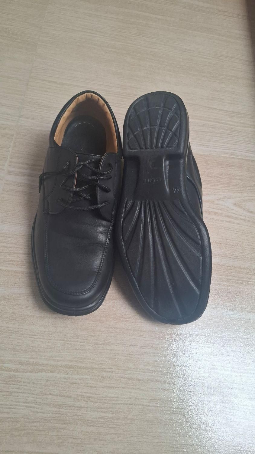 کفش|کیف، کفش، کمربند|سرپل ذهاب, |دیوار