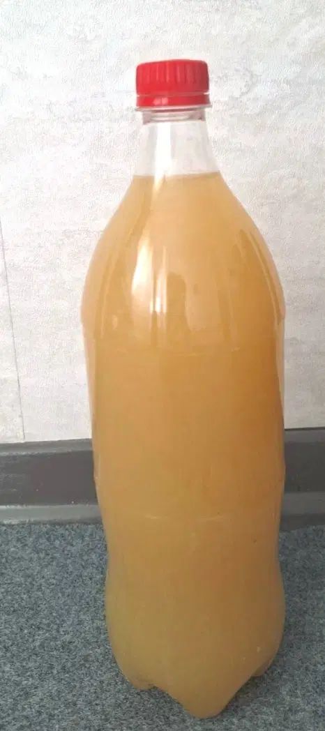آبغوره|خوردنی و آشامیدنی|تهران, آهنگ|دیوار