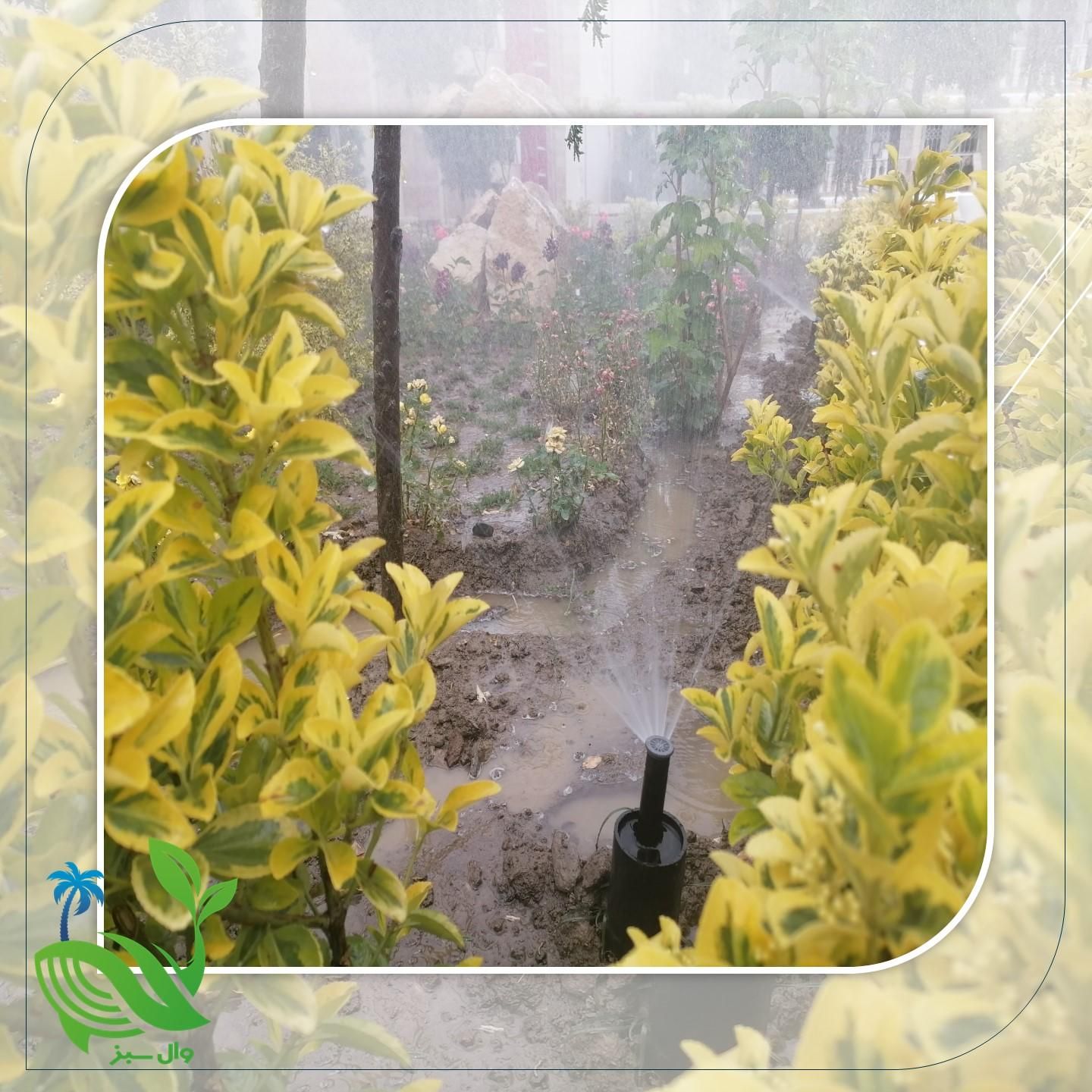 آبیاری قطره ای بارانی هوشمند دیوار سبز گلخانه|خدمات باغبانی و درختکاری|مشهد, سجاد شهر|دیوار