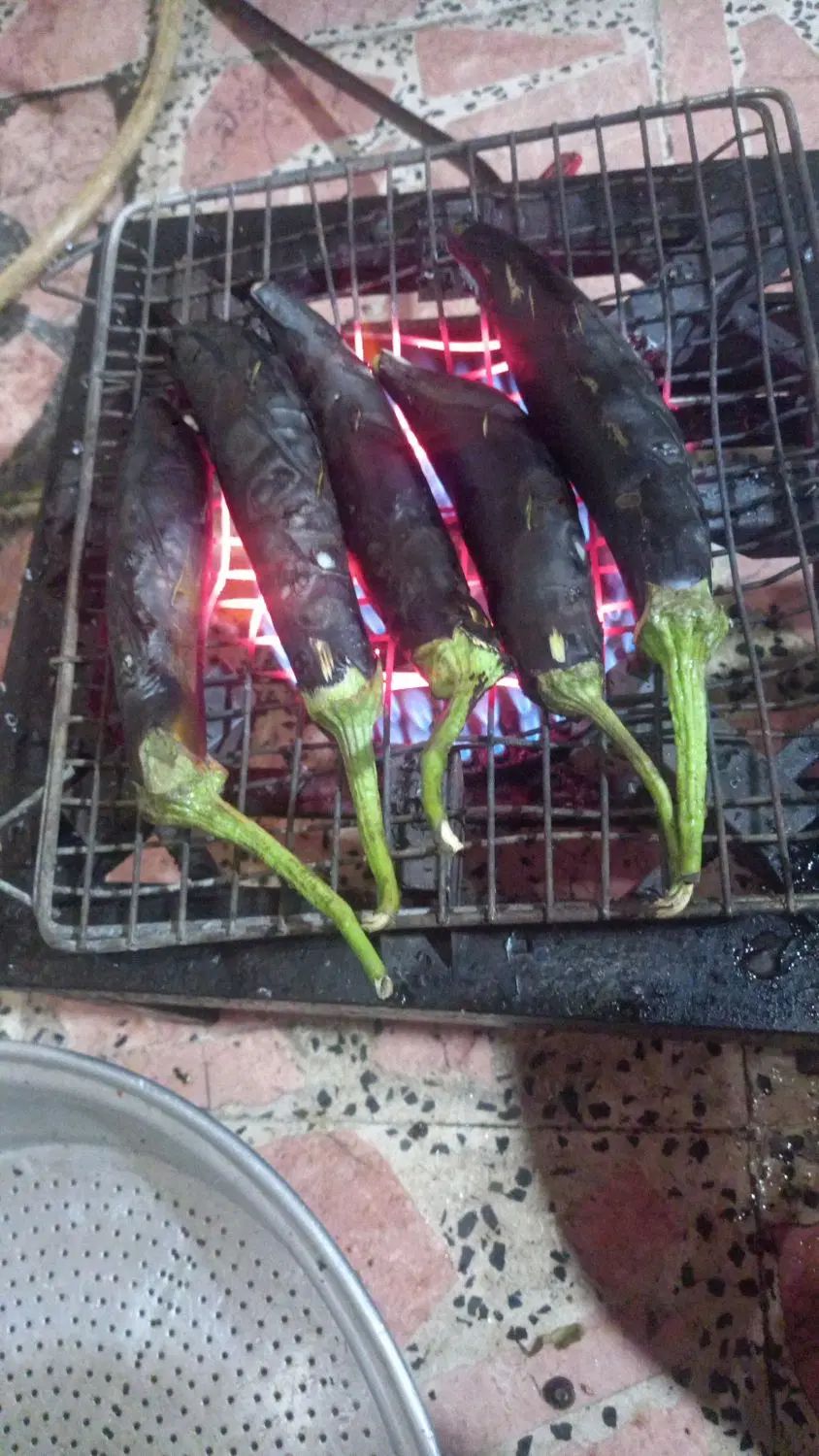بادمجان کبابی|خوردنی و آشامیدنی|رشت, شهرک صبا|دیوار