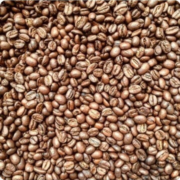 قهوه دانه برشته عربیکا روبوستا گرید ۱ AAA|خوردنی و آشامیدنی|پاکدشت, شهرک امام رضا|دیوار