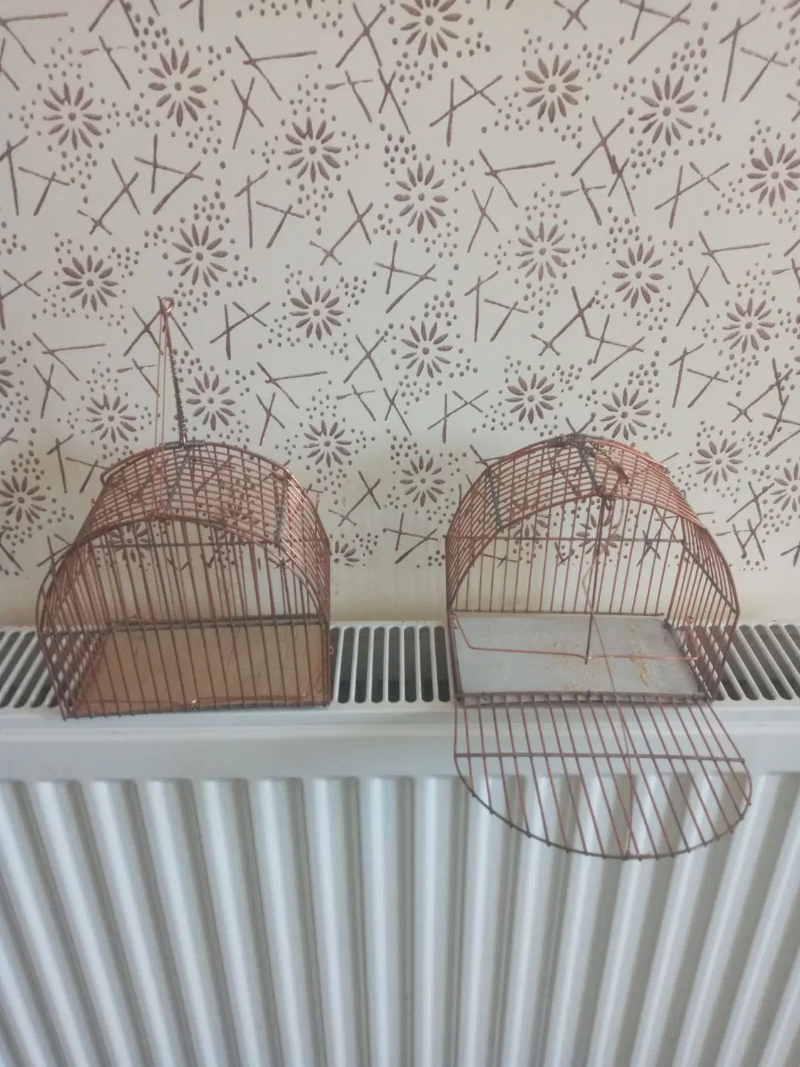 قفس تله تکی سهره|لوازم جانبی حیوانات|بجنورد, |دیوار