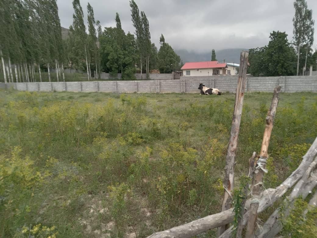 زمین ۵۳۰ متری دونبش در منطقه ییلاقی کجور|فروش زمین و ملک کلنگی|تهران, امامت|دیوار