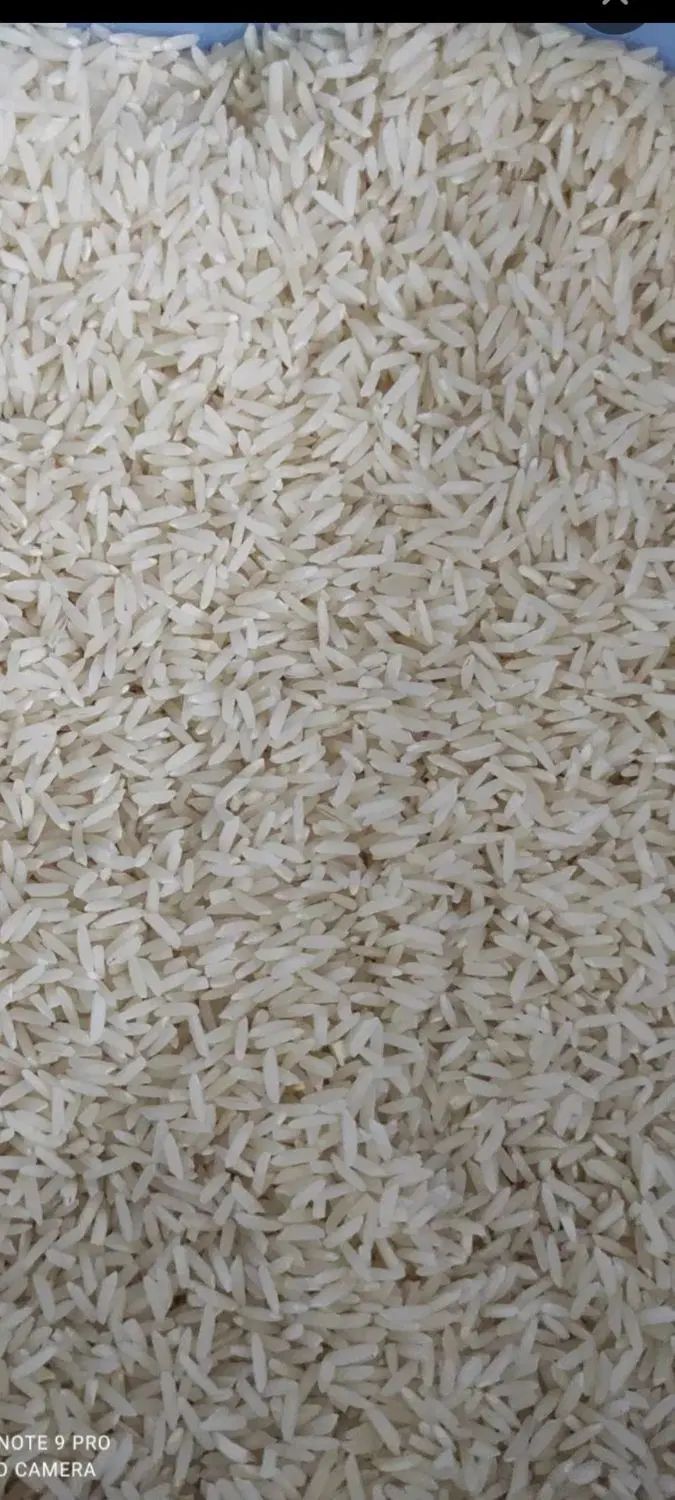 برنج طارم هاشمی اصل ارگانیک با آب چشمه جنگلی|خوردنی و آشامیدنی|گرگان, |دیوار