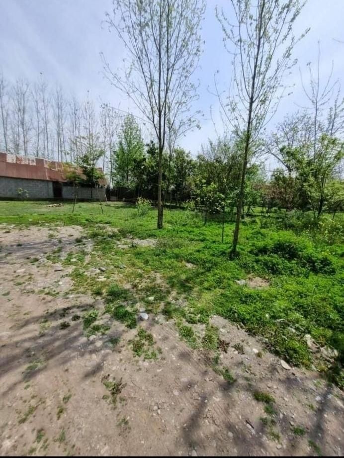 خونه روستایی۱۷۰۰متری دل روستا طبیعت بکر /آناملک|فروش خانه و ویلا|رشت, پارک شهر|دیوار