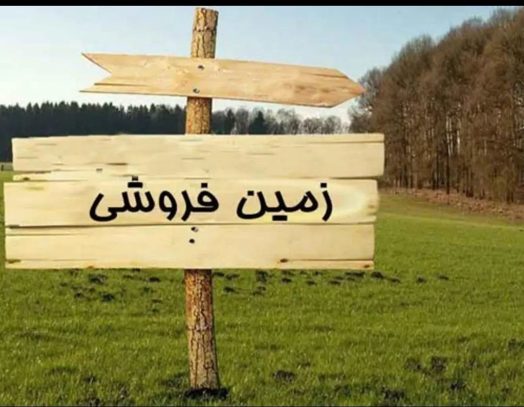 فروش زمین ۵۰۰۰ متری|فروش زمین و ملک کلنگی|مشهد, طرق|دیوار