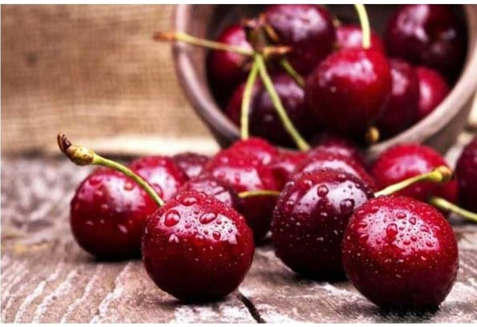 صادرات میوه|خدمات حمل و نقل|ارومیه, |دیوار
